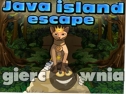 Miniaturka gry: Java Island Escape