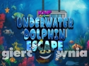 Miniaturka gry: KNF Underwater Dolphin Escape