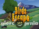 Miniaturka gry: Knf birds Escape