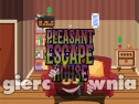 Miniaturka gry: Knf Pleasant House Escape