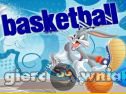 Miniaturka gry: Looney Tunes Active Basketball