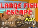 Miniaturka gry: Large Fish Escape
