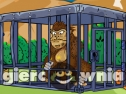 Miniaturka gry: Locked Up Gorilla Rescue