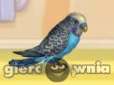 Miniaturka gry: My Little Parrot