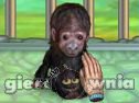Miniaturka gry: My Funny Ape