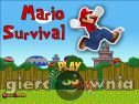 Miniaturka gry: Mario Survival