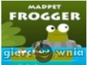 Miniaturka gry: Madpet Frogger