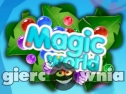 Miniaturka gry: Magic World