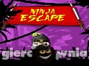 Miniaturka gry: Ninja Escape