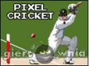 Miniaturka gry: Pixel Cricket