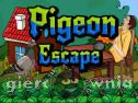 Miniaturka gry: Pigeon Escape