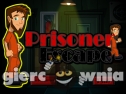Miniaturka gry: Prisoner Escape