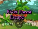 Miniaturka gry: River Forest Escape