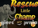 Miniaturka gry: Rescue Little Champ