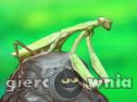 Miniaturka gry: Smart Mantis