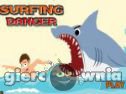 Miniaturka gry: Surfing Danger