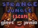 Miniaturka gry: Strange Jungle Escape