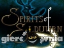 Miniaturka gry: Spirits of Elduurn