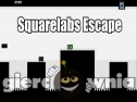 Miniaturka gry: Squarelabs Escape