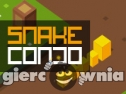 Miniaturka gry: Snake Condo