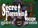 Miniaturka gry: secret florentine escape
