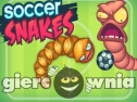 Miniaturka gry: Soccer Snakes