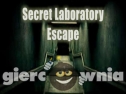 Miniaturka gry: Secret Laboratory Escape