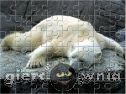 Miniaturka gry: Tired Polar Bear‏