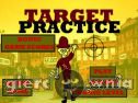 Miniaturka gry: Target Practice