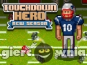 Miniaturka gry: Touchdown Hero New Season