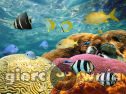 Miniaturka gry: Underwater World