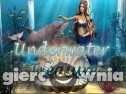 Miniaturka gry: Underwater Treasure