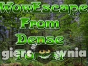 Miniaturka gry: Wowescape from Dense Forest