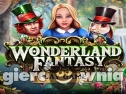 Miniaturka gry: Wonderland Fantasy