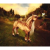 avatar GirlsAndShire