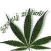 avatar Kuba293531PL
