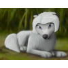 avatar Wilczyca245