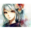 avatar Zgreda