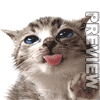 avatar amee055