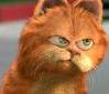 avatar garfield6