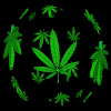 avatar grzesiek2502