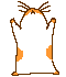 avatar kar240931