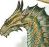 avatar karoxl