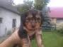avatar kocyk17