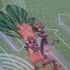 avatar krystianlewandowsk