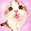 avatar miau666