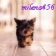 avatar milena456