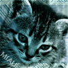 avatar oli281717