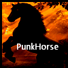 avatar punkhorse