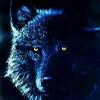 avatar quickifox
